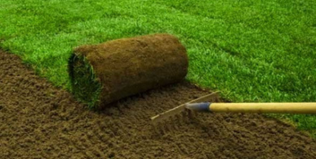 Instant lawn Instant lawn