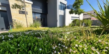 Soft landscaping